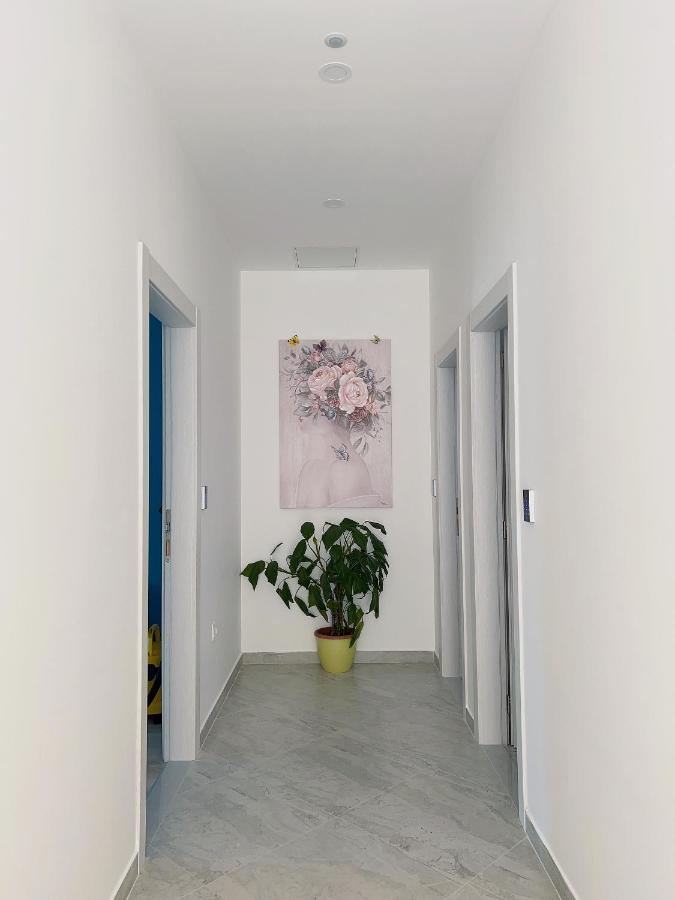 Jelena 5 Apartment *